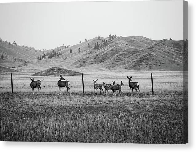 The Family - Canvas Print