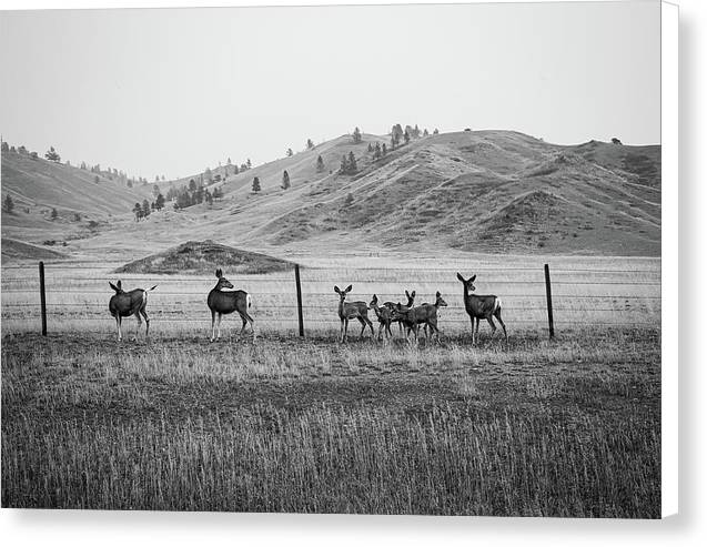 The Family - Canvas Print