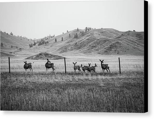 The Family - Canvas Print