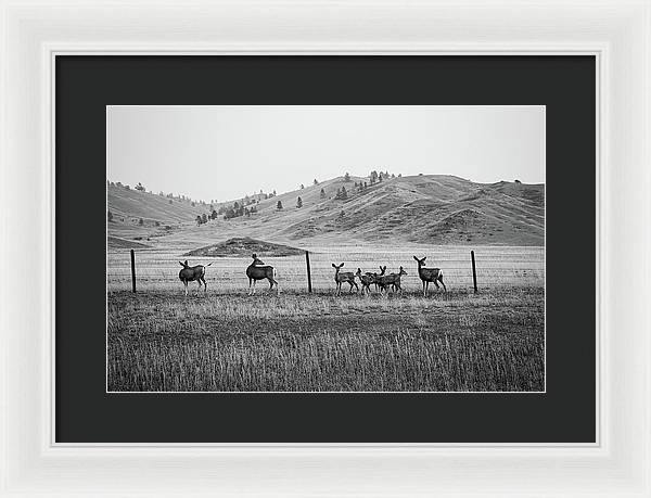 The Family - Framed Print