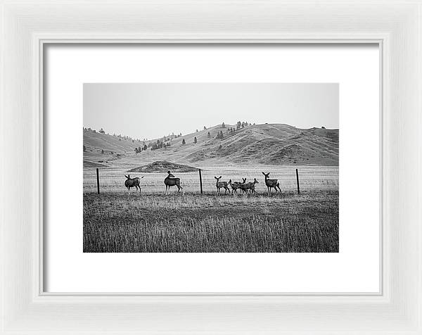 The Family - Framed Print