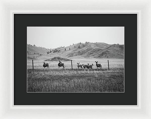 The Family - Framed Print