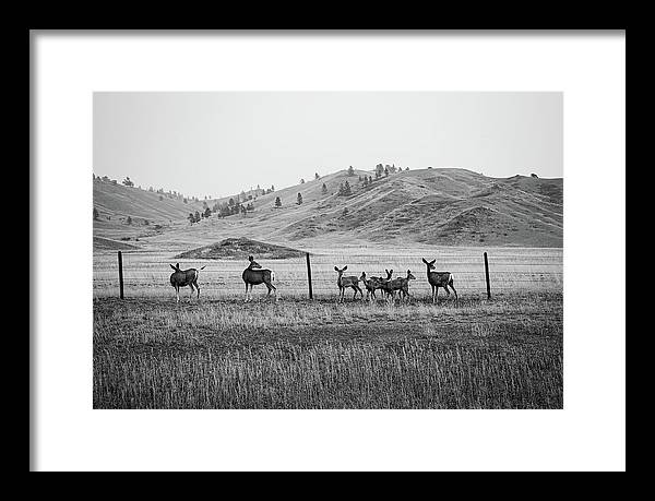 The Family - Framed Print