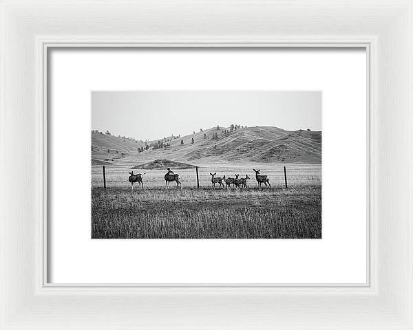 The Family - Framed Print