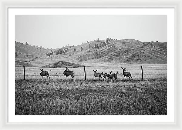 The Family - Framed Print