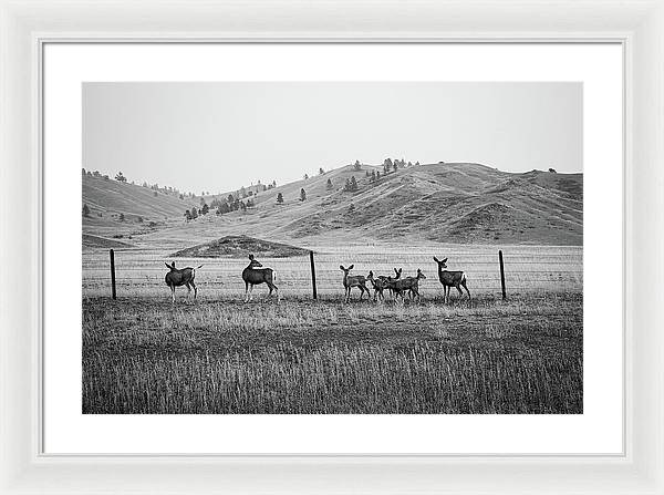 The Family - Framed Print