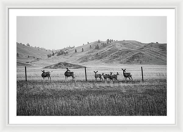 The Family - Framed Print