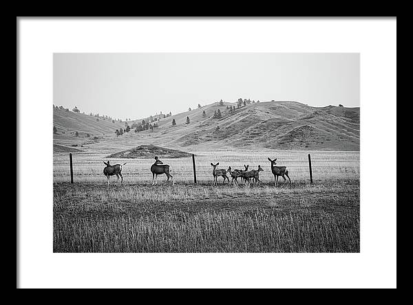 The Family - Framed Print