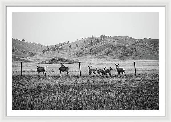 The Family - Framed Print