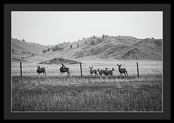 The Family - Framed Print