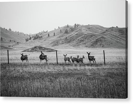 The Family - Acrylic Print