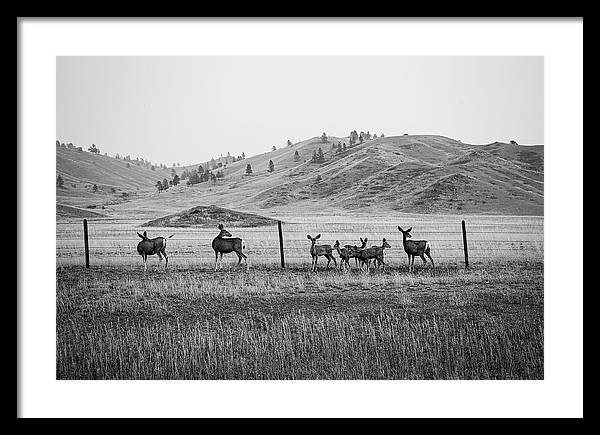 The Family - Framed Print