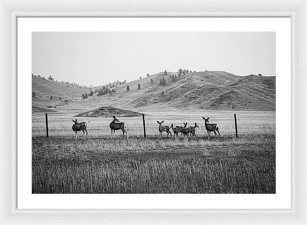 The Family - Framed Print