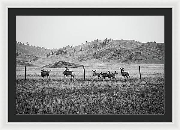 The Family - Framed Print