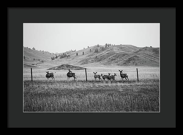 The Family - Framed Print