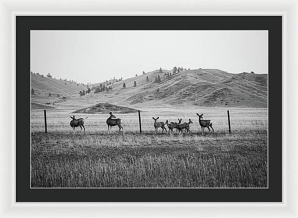 The Family - Framed Print