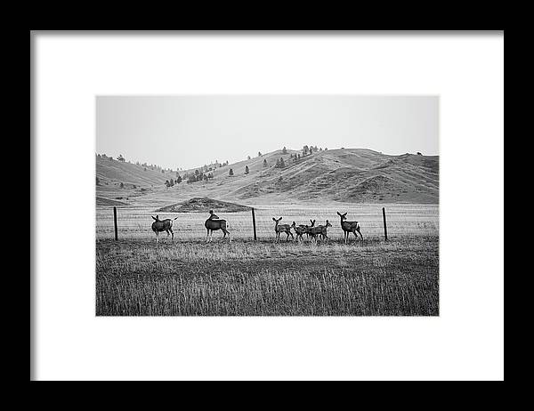 The Family - Framed Print