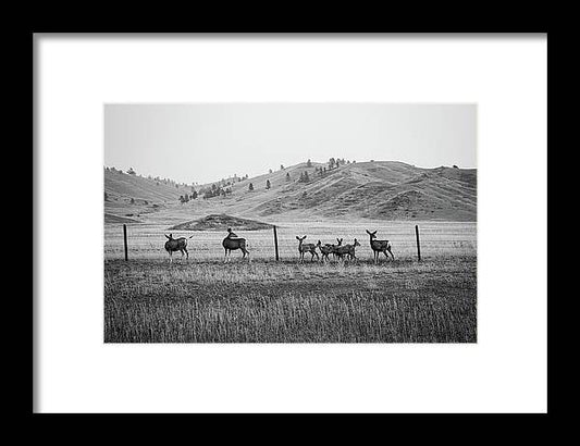 The Family - Framed Print