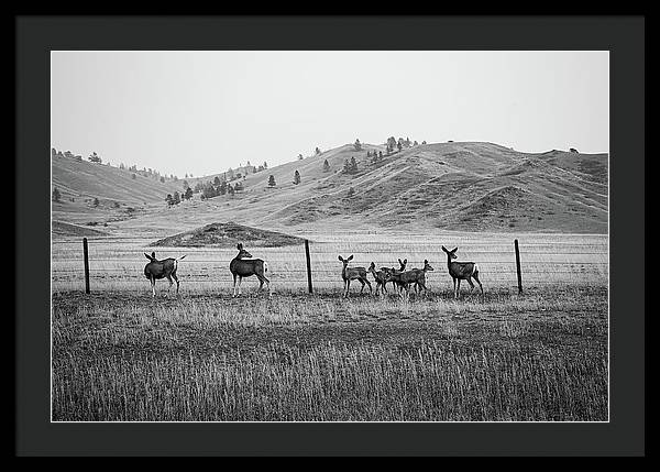 The Family - Framed Print