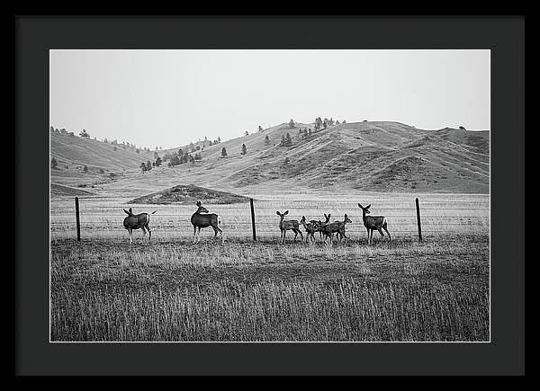 The Family - Framed Print