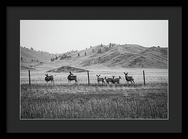 The Family - Framed Print