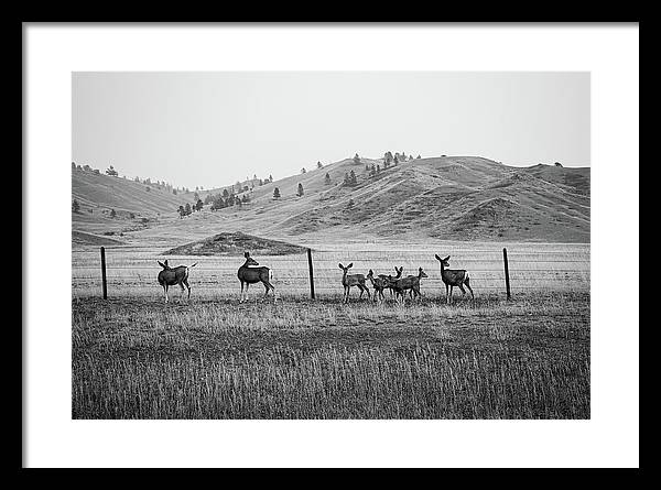 The Family - Framed Print