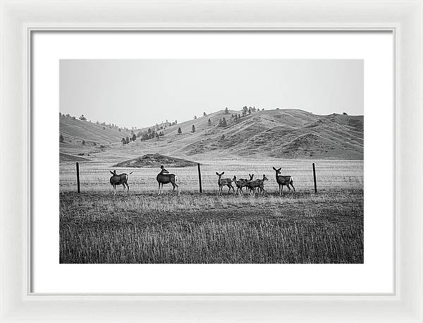 The Family - Framed Print