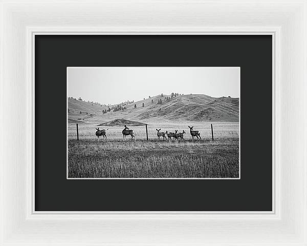 The Family - Framed Print