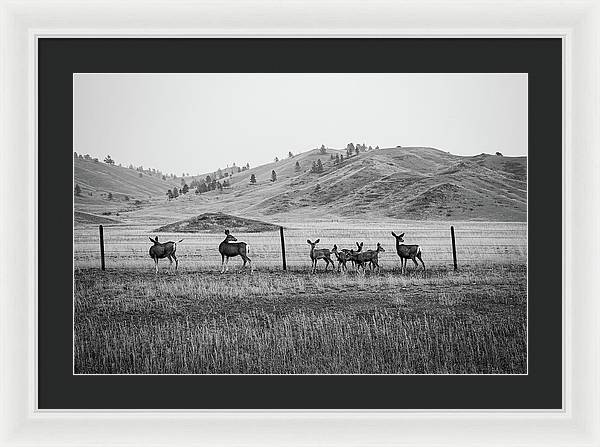 The Family - Framed Print