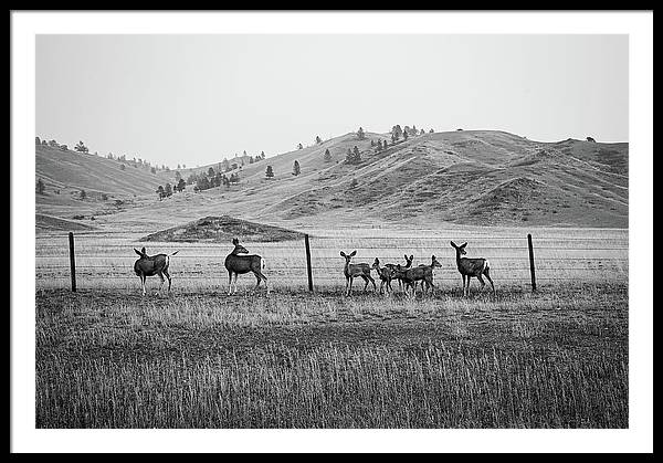 The Family - Framed Print