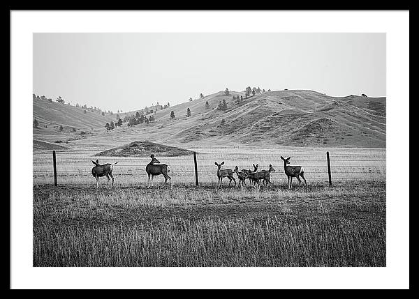 The Family - Framed Print