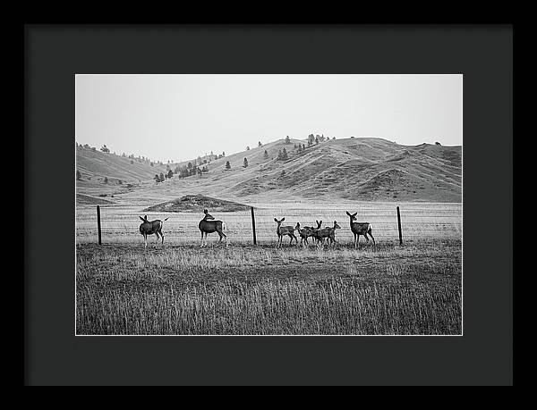 The Family - Framed Print