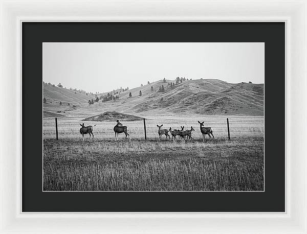 The Family - Framed Print