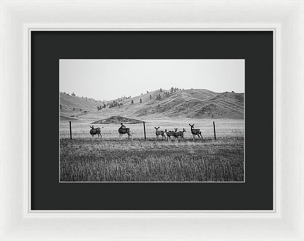 The Family - Framed Print