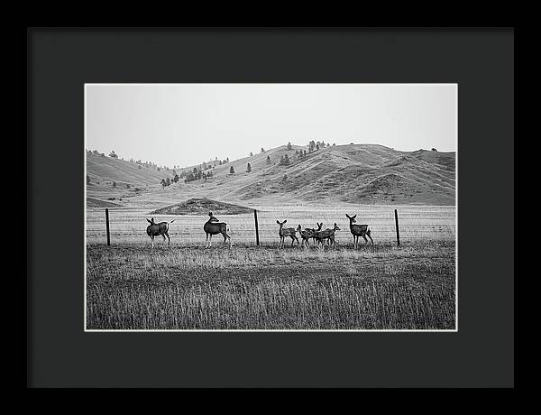 The Family - Framed Print