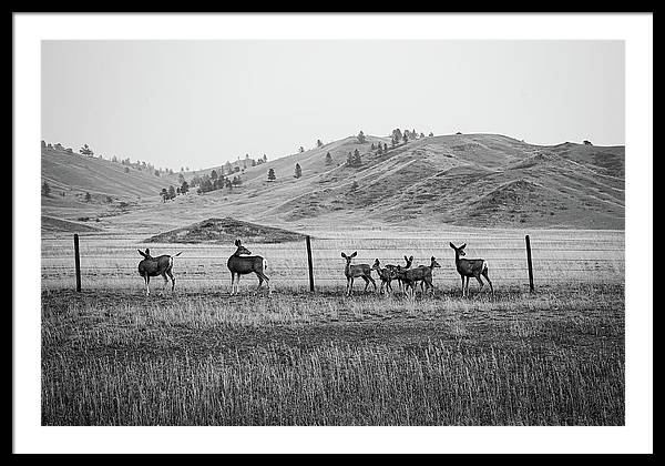 The Family - Framed Print