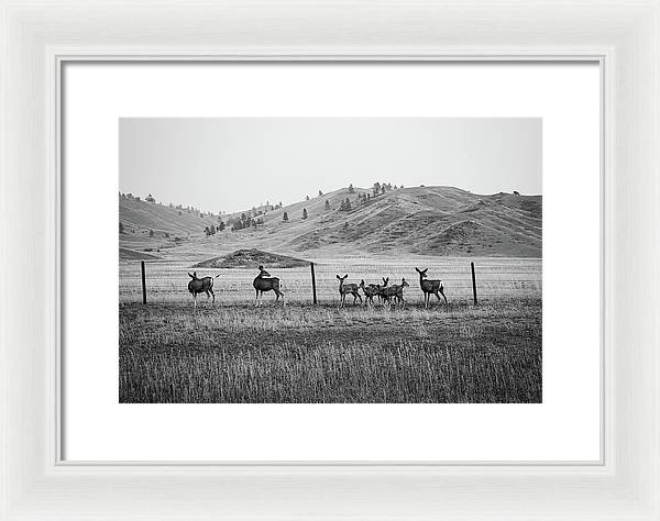 The Family - Framed Print