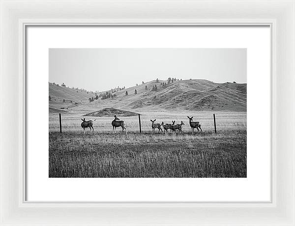 The Family - Framed Print