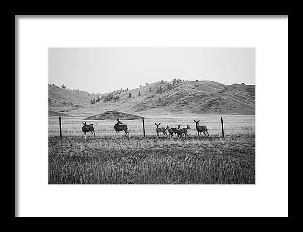 The Family - Framed Print